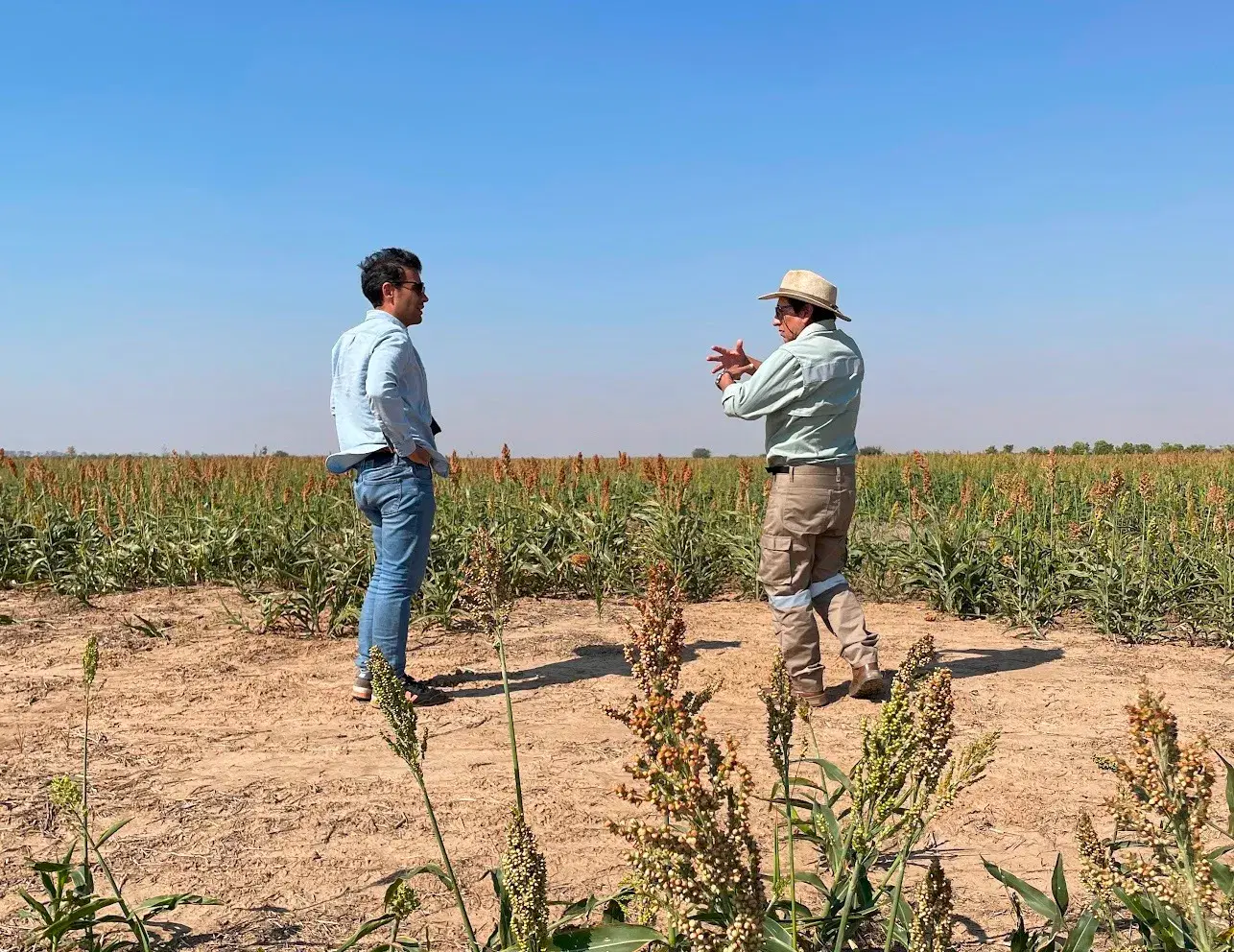 Suyana's Early Warning System and Parametric Insurance for Smallholder Farmers in Bolivia